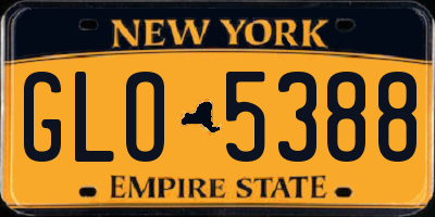NY license plate GLO5388