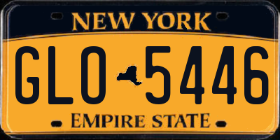 NY license plate GLO5446