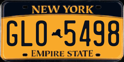 NY license plate GLO5498