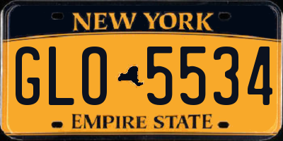 NY license plate GLO5534