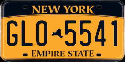 NY license plate GLO5541