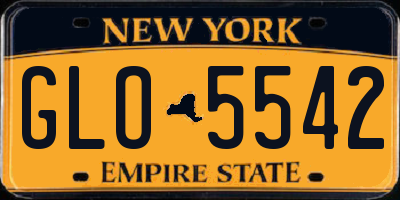 NY license plate GLO5542
