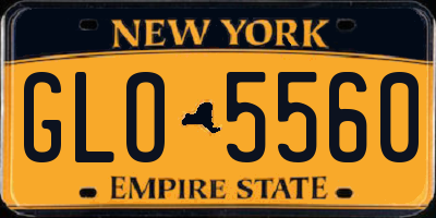 NY license plate GLO5560