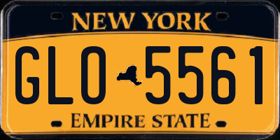 NY license plate GLO5561