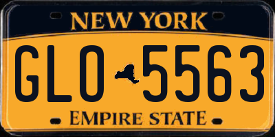 NY license plate GLO5563