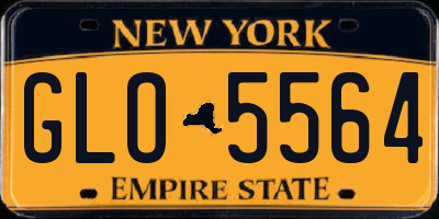 NY license plate GLO5564