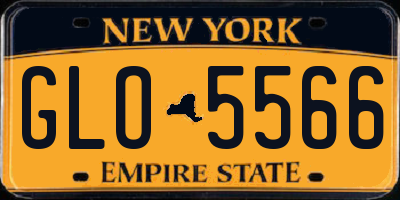 NY license plate GLO5566