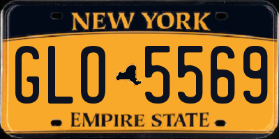 NY license plate GLO5569