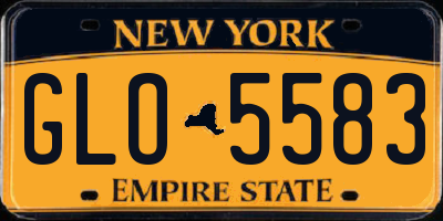 NY license plate GLO5583