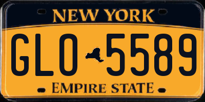 NY license plate GLO5589