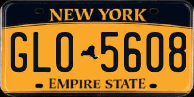 NY license plate GLO5608