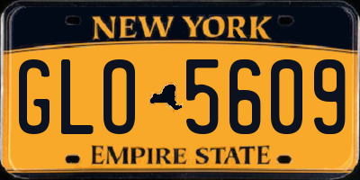 NY license plate GLO5609