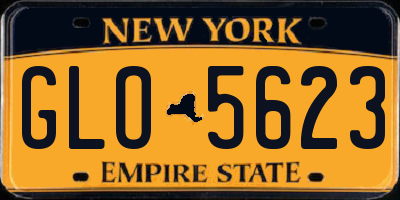NY license plate GLO5623