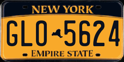 NY license plate GLO5624