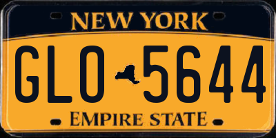 NY license plate GLO5644