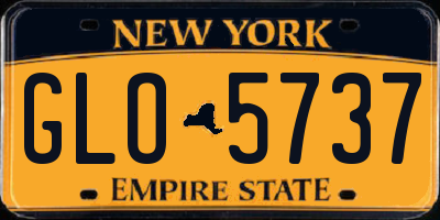 NY license plate GLO5737