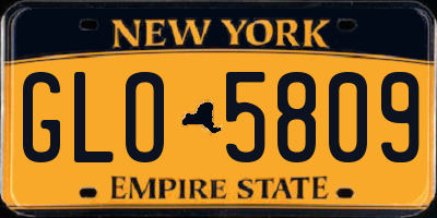 NY license plate GLO5809
