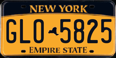 NY license plate GLO5825