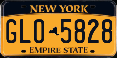 NY license plate GLO5828