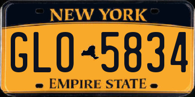 NY license plate GLO5834