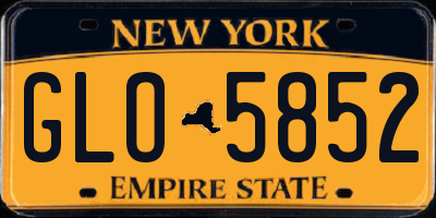 NY license plate GLO5852
