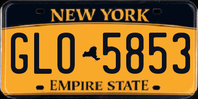 NY license plate GLO5853