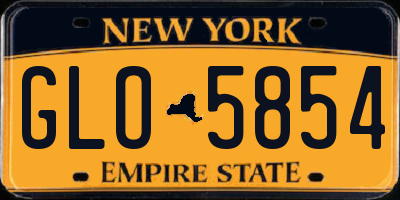NY license plate GLO5854