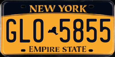 NY license plate GLO5855
