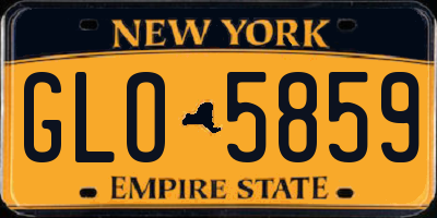 NY license plate GLO5859