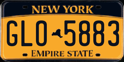 NY license plate GLO5883