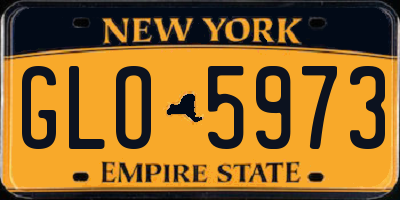 NY license plate GLO5973