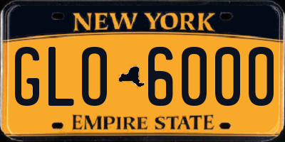 NY license plate GLO6000
