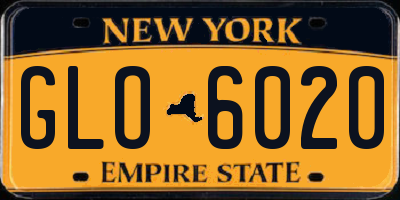 NY license plate GLO6020