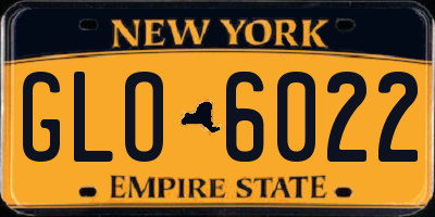 NY license plate GLO6022