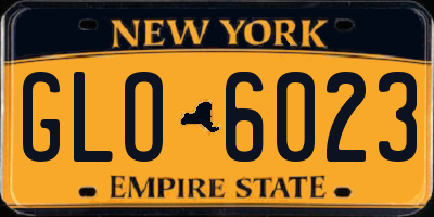 NY license plate GLO6023