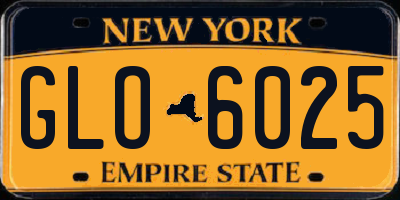 NY license plate GLO6025