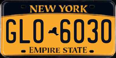 NY license plate GLO6030