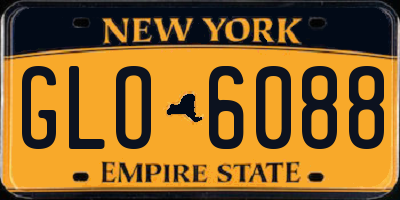NY license plate GLO6088