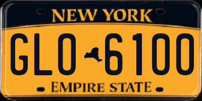 NY license plate GLO6100