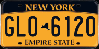 NY license plate GLO6120