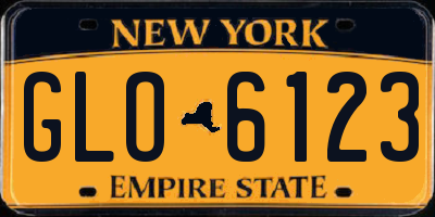 NY license plate GLO6123