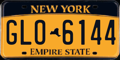 NY license plate GLO6144