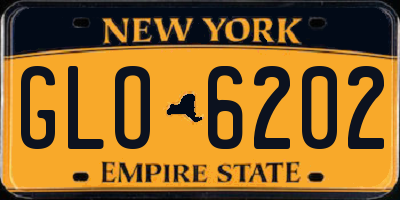 NY license plate GLO6202