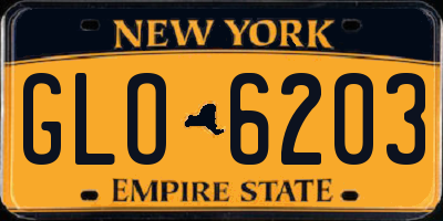 NY license plate GLO6203