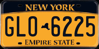 NY license plate GLO6225