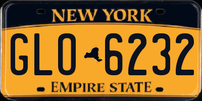 NY license plate GLO6232