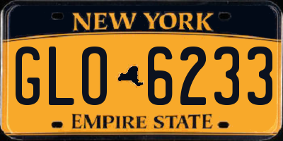 NY license plate GLO6233