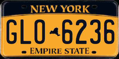 NY license plate GLO6236