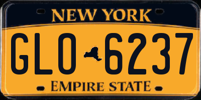 NY license plate GLO6237