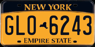 NY license plate GLO6243